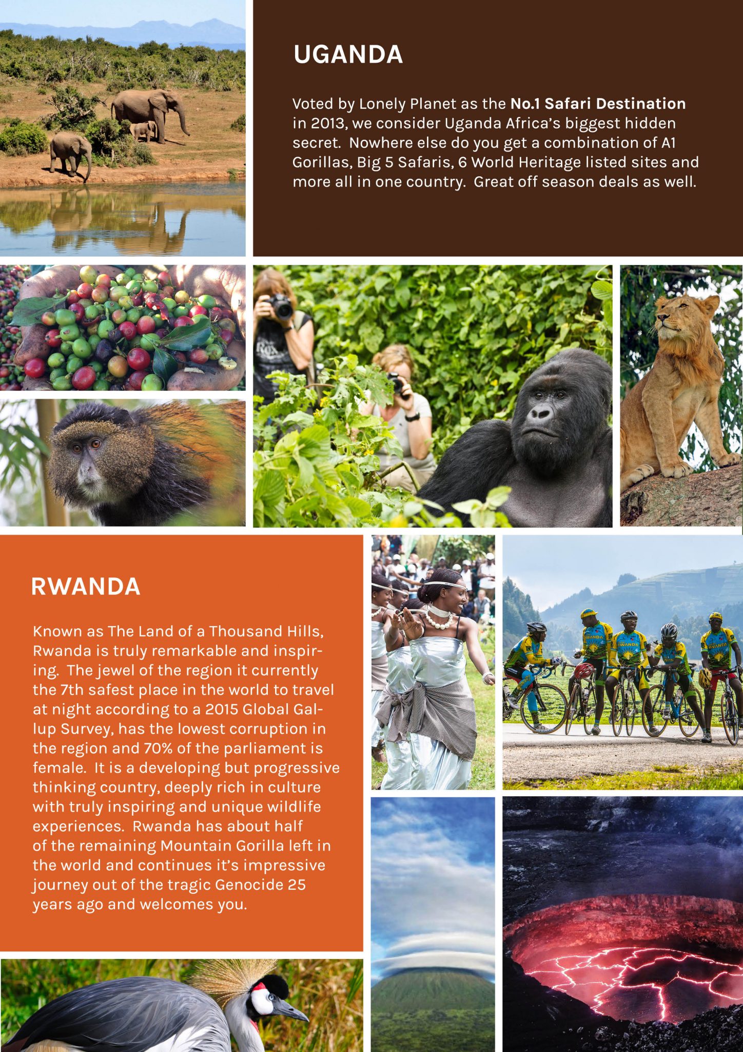 Brochure African Safaris Coffee Tours Mountain Gorilla Treks 